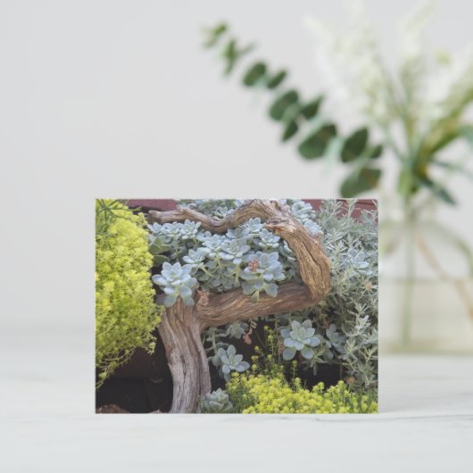 Succulents Postcard Postkarte (Stehend Vorderseite)