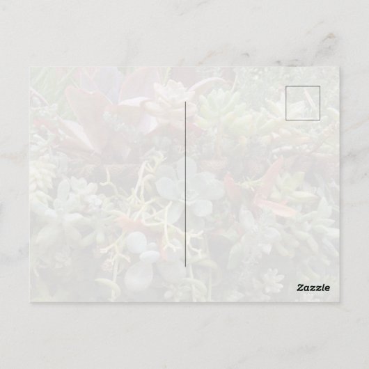 Succulents Postcard Postkarte (Rückseite)