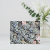 Succulents Postcard Postkarte (Stehend Vorderseite)