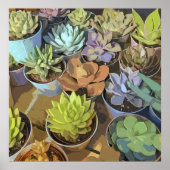 Succulents Poster (Vorne)