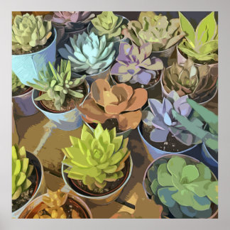 Succulents Poster
