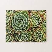 Succulents Puzzle (Horizontal)