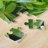 Succulents Puzzle Cactus Pflanze Schwierigkeiten (Seite)