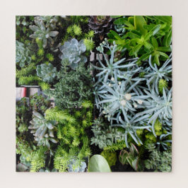 Succulents Puzzle Cactus Pflanze Schwierigkeiten