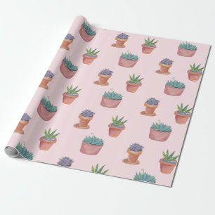 Succulents und Kakteen auf rosa Geschenkpapier