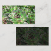 Succulents Visitenkarte (Vorne/Hinten)