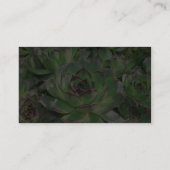 Succulents Visitenkarte (Rückseite)
