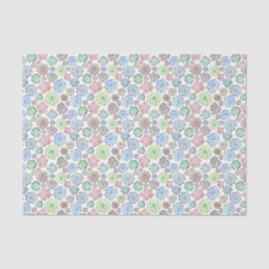 SucculentsSeidenpapier Seidenpapier (Vorderseite)