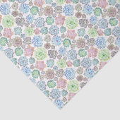 SucculentsSeidenpapier Seidenpapier (Ausschnitt)