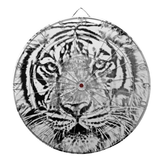 Suche_ Dartscheibe (vorne)