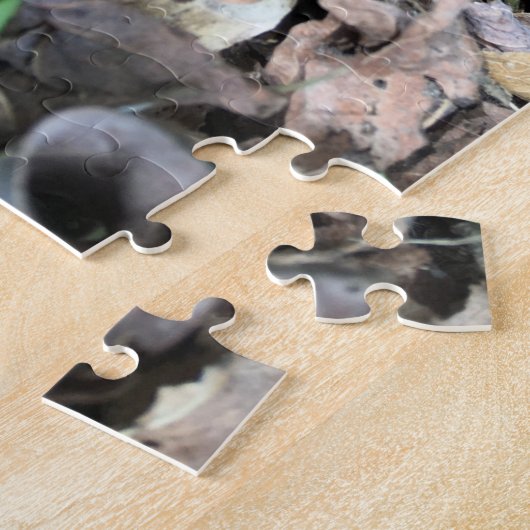 Suche + Entdecken Sie das überdimensionierte Puzzl Puzzle (Seite)