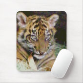 Suche_ Mousepad (Mit Mouse)