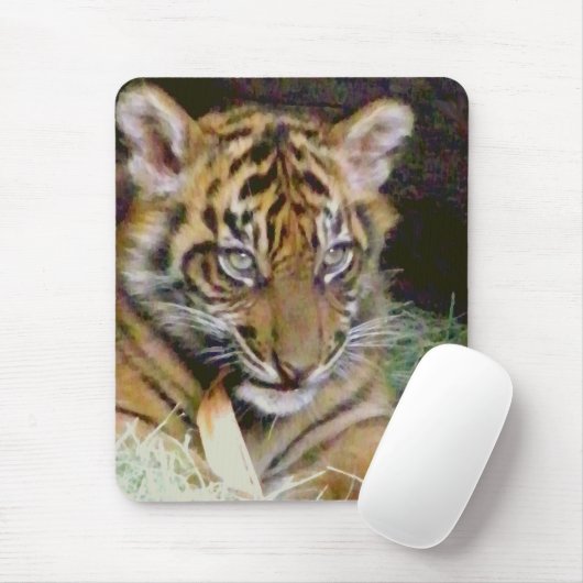 Suche_ Mousepad (Mit Mouse)
