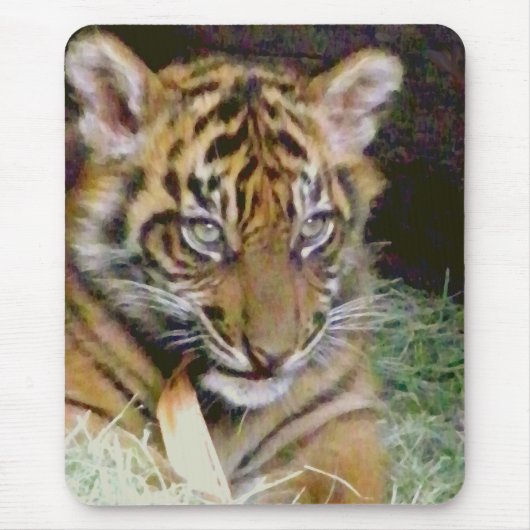 Suche_ Mousepad (Vorne)