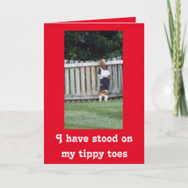 Suche nach Basset auf der Niedlichen Valentintagsk Feiertagskarte