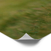 Suche nach Burrow Puffin Poster (Ecke)