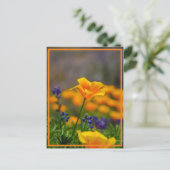 Suche nach dem Stern Postkarte (Stehend Vorderseite)