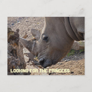 Suche nach der Princess Postkarte