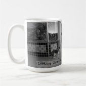 Suche nach der Tasse der Speicherspur (Links)