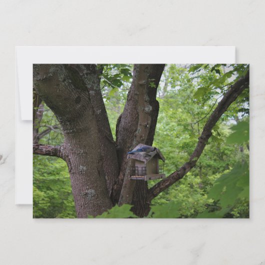 Suche nach einem Biss zu essen Einladung (Vorderseite)