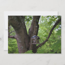 Suche nach einem Biss zu essen Einladung