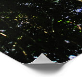 Suche nach einem großen Baum im Wald - Poster (Ecke)