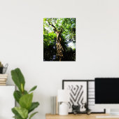 Suche nach einem großen Baum im Wald - Poster (Heimbüro)