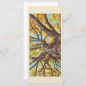 Suche nach einer Flachkarte (Vorne/Hinten)