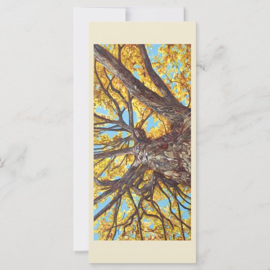 Suche nach einer Flachkarte (Vorderseite)