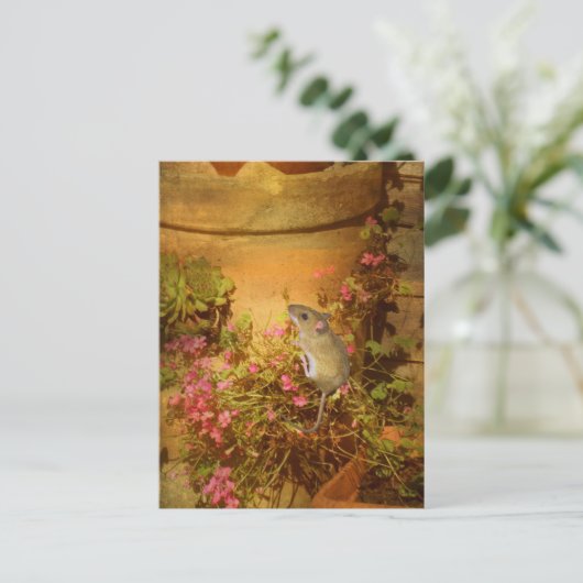 Suche nach einer Zuhause. Postkarte (Stehend Vorderseite)