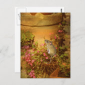 Suche nach einer Zuhause. Postkarte (Vorne/Hinten)