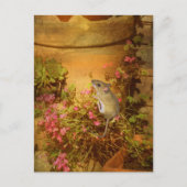 Suche nach einer Zuhause. Postkarte (Vorderseite)