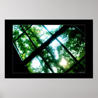 Suche nach Freiheit Poster