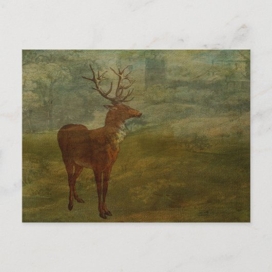 Suche nach Landseer Postkarte (Vorderseite)