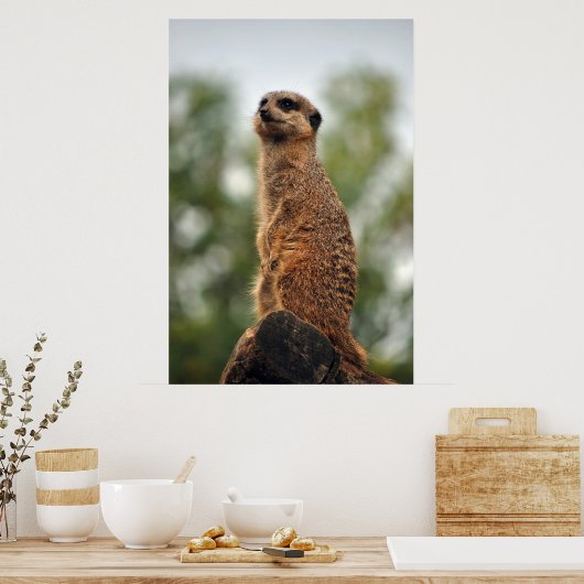 Suche nach Liebe Poster (Küche)