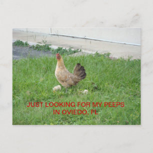 Suche nach meinen Postkarten für Pieps