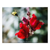 Suche nach Nectar Fotodruck (Vorne)