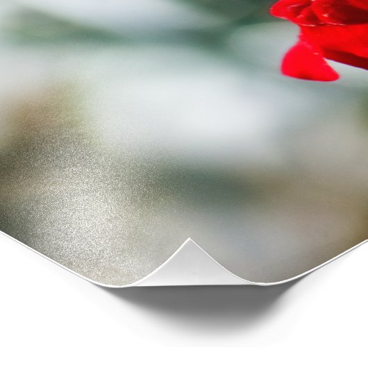 Suche nach Nectar Fotodruck (Ecke)