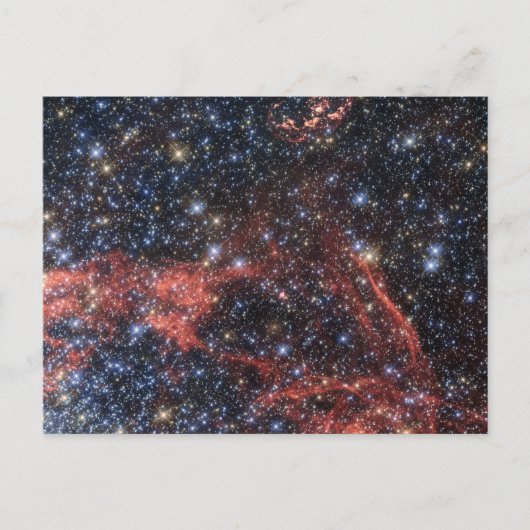 Suche nach Stellar Survivor der Supernova-Explosio Postkarte (Vorderseite)