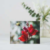 Suche nach süßem Nectar Postkarte (Stehend Vorderseite)