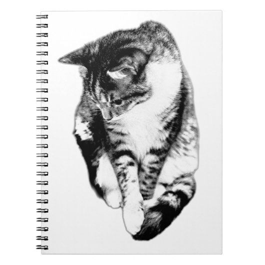 Suche nach Tabby Cat Monochrome Notebook Notizblock (Vorderseite)