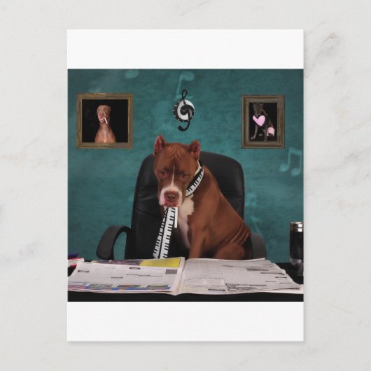 Suche nach Talenten Postkarte (Vorderseite)