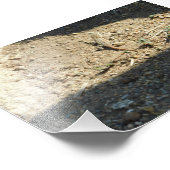 Suche nach Traumzeiten Fotodruck (Ecke)