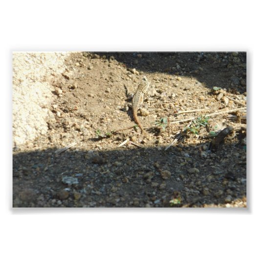 Suche nach Traumzeiten Fotodruck (Vorne)