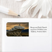 Suche nach Übertragungen (Insitu)