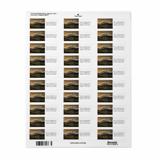 Suche nach Übertragungen (Vorne)