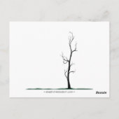 Suche Postkarte (Rückseite)