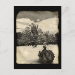 Suche - Postkarte