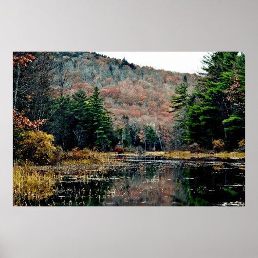 Suche und Plakat finden (Vorne)