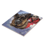 Suche und Rettung deutscher Schafe im Schnee Fliese (Seite)